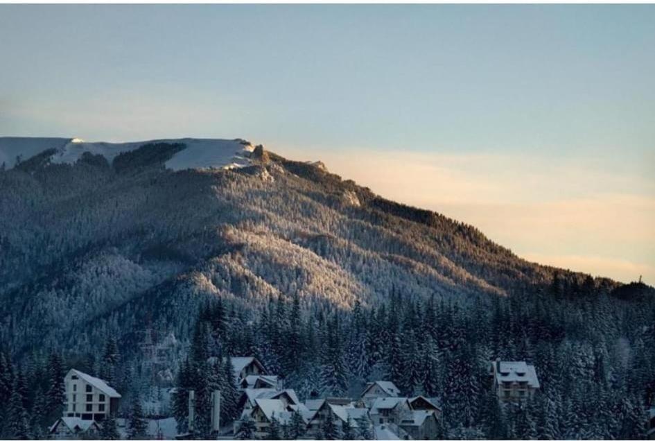 Hotel Mont Blanc Predeal Exterior foto